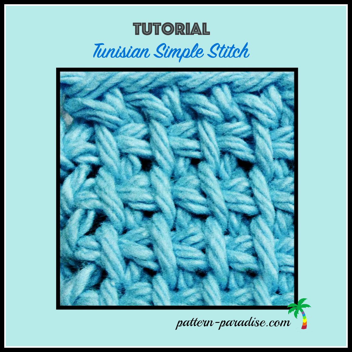 Tutorial: Tunisian Simple Stitch | Pattern Paradise