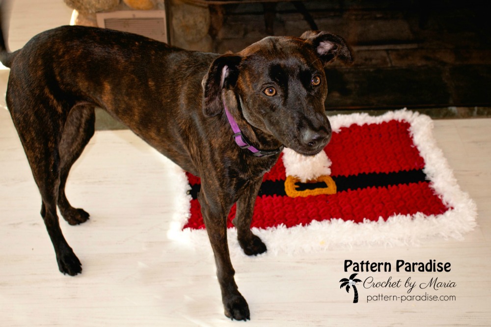 2019 Christmas Blog Hop - Santa Rug - Pattern Paradise